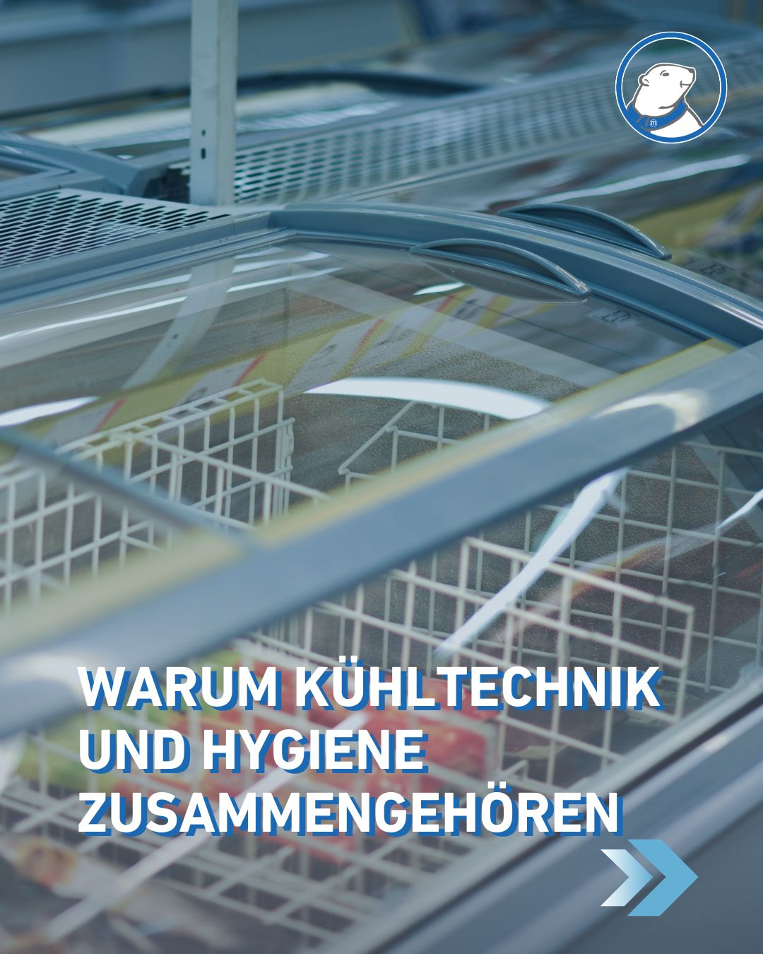 Das Bild zeigt eine Kühltruhe im Supermarkt, symbolisch für: 6 wichtige Faktoren warum Kühltechnik und Hygiene zusammengehören