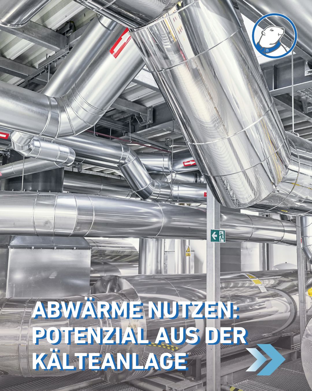 Das Bild zeigt Rohre einer Kühlanalage, symbolisch für: Abwärme nutzen: Potenzial aus der Kälteanlage – warum „Kälte Wärme macht“ und wie Du sie sinnvoll einsetzt